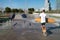 Longboarder in skate park with his dog