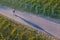 Longboarder in vineyard in a view from above