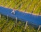 Longboarder in vineyard in a view from above