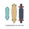 Longboards collection - Cruiser, Downhill, Drop Through, Carving. Vector illustration in flat style.