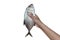 Longfin trevally or Giant kingfish Caranx ignobilis is marine animal holding by hand woman on white background