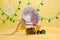 Longhair blaze dumbo gray cute rat sits on New Year gift jar on yellow background, symbol of 2020