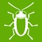 Longhorn beetle grammoptera icon green