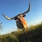 Longhorn cattle standing in a field