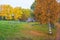 Longhouse on a meadow in a beautiful autumn landscape