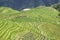 Longji Terraced Rice Fields