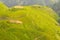 Longji terraces rice fields near Guilin, Guangxi, China