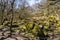 Longshaw Estate-Peak District National Park, Derbyshire, England.