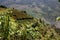 Longsheng, China: Terraced Rice Paddies