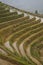 Longsheng paddy fields in China