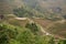 Longsheng paddy fields in China