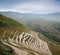 Longsheng paddy fields in China