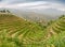 Longsheng paddy fields in China