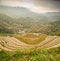 Longsheng paddy fields in China