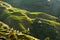 Longsheng rice terraces landscape in China