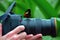 Longwing Butterfly on camera lens