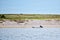 A lonley motor boat sits near the beach on Martha`s vineyard