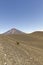 Lonquimay and tolhuaca volcano, Chile. Bio Bio Region