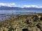 A look at burrard inlet from Acadia beach out near the university of British Columbia