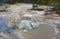 Look down to see mud pots, steamy water, dead trees, and volcanic rock in Yellowstone National Park, Wyoming, USA.