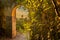 A look through a marl stone gate with a view on the vineyards and a golden colored sunrise on a misty morning in October  on the h