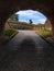 Look through medieval passageway with cobbled, polished shiny road at a tree and the blue sky with clouds Look through medieval pa