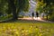 A look at silhouettes down a grassy path