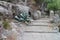 Look to stairs with cactus near Monastery Santuari de Lluc in Serra de Tramuntana, Mallorca