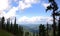 A look at the tops of the mountains through the tops of tall pines