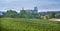 Look at Vogtsburg-Burkheim with castle ruins. Kaiserstuhl