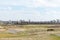 Looking accross the Prestwick Golf course greens to the town of Prestwick on a cold April Day