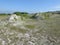 Looking across chalk pit