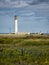 Looking across the dunes to Barns Ness Lighthouse