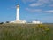 Looking across the dunes to Barns Ness Lighthouse