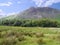 Looking across field to Buckbarrow