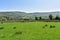 Looking across fields to Mam Tor, Peak District