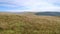 Looking across hillside to distant sea