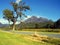 Looking across open grazing land towards the rugged mountain pea