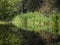 Looking across the peaceful Reflections in the water of a Pond at the St Andrews Botanic Gardens.