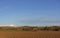 Looking across ploughed and grassy Fields between Drystone walls and onwards to the snow covered Hills.