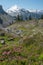 Looking along Chain Lakes trail to views of Mount Baker