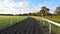 Looking along the practice gallops in Newmarket UK