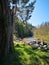 Looking along a river bank in spring, green grass, large rocks on the bank, forest in the background