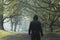 Looking at the back of a hooded figure, standing below an avenue of trees on a hill. On a foggy, atmospheric day