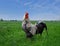 Looking back, the rooster stands against the background of a green field and a blue sky