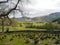 Looking into Borrowdale valley across fields