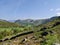 Looking into Borrowdale valley, Lake District