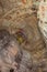 Looking at the ceiling in cave 5 of the Yungang Grottoes