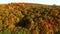 Looking down on amazingly beautiful autumn colors,forests,trees, aerial drone flyover view.