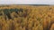 Looking down on amazingly beautiful autumn colors,forests,trees, aerial drone flyover view. drone shot